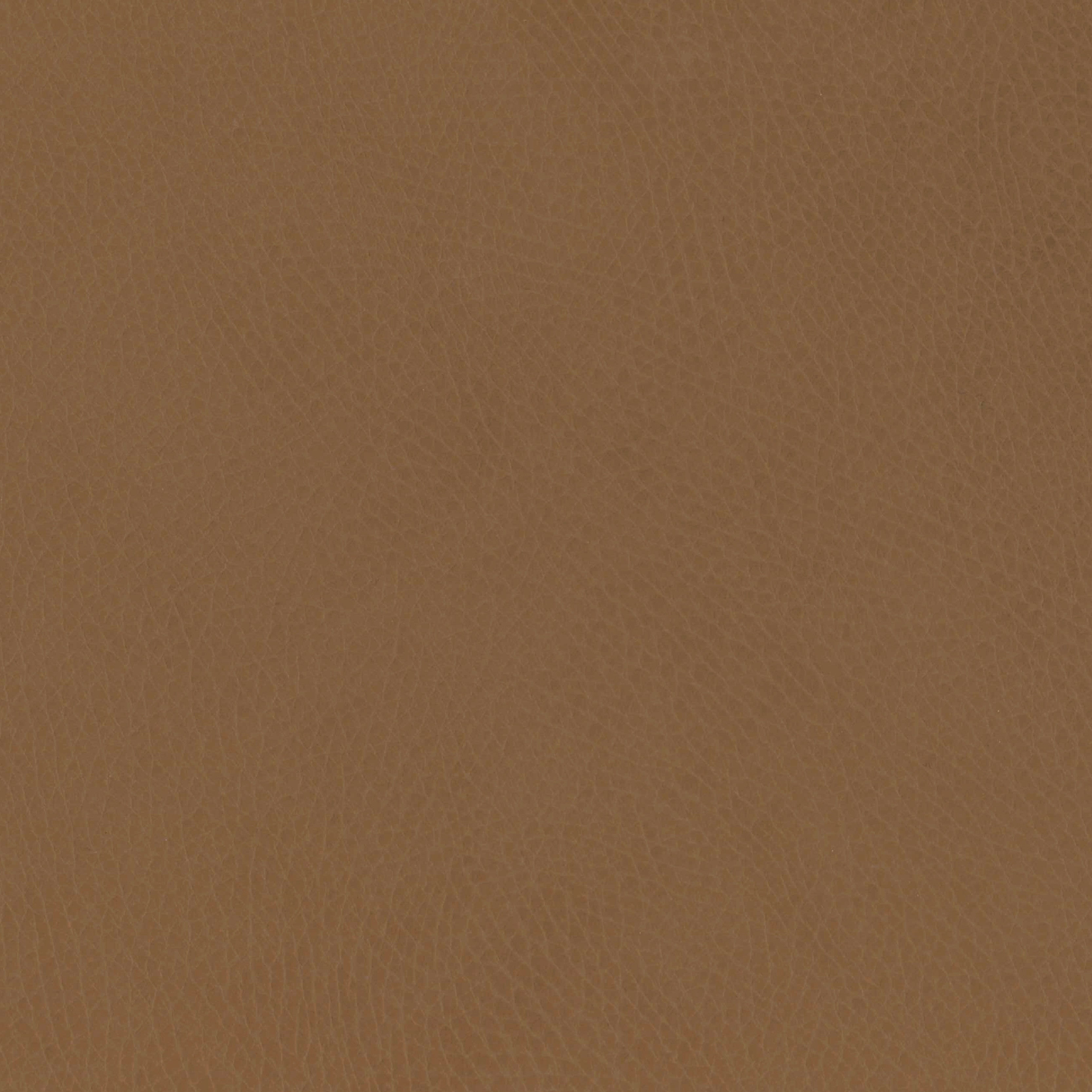 M26834GCLB,Babyletto,babyletto x GATHRE Capsule Bassinet in Camel