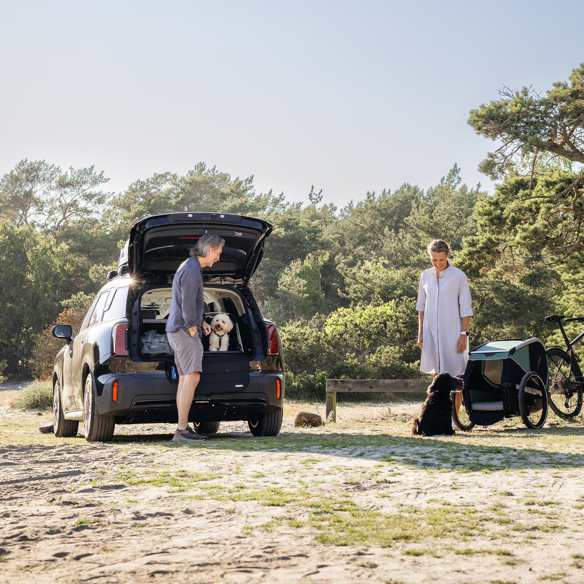 Thule Allax | Threshold Compatible