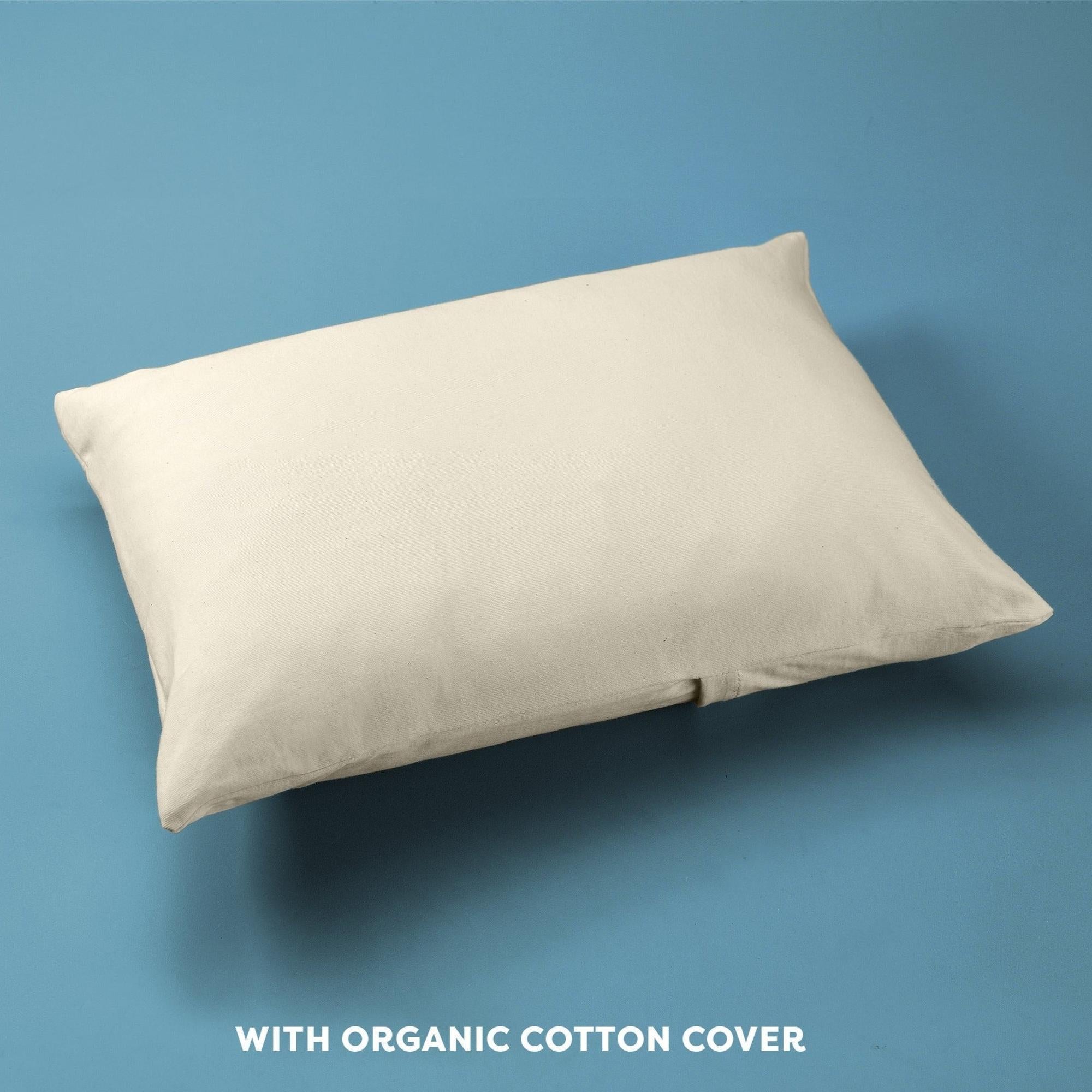 Moonlight Little Dreamer Toddler Pillow with Organic Cover