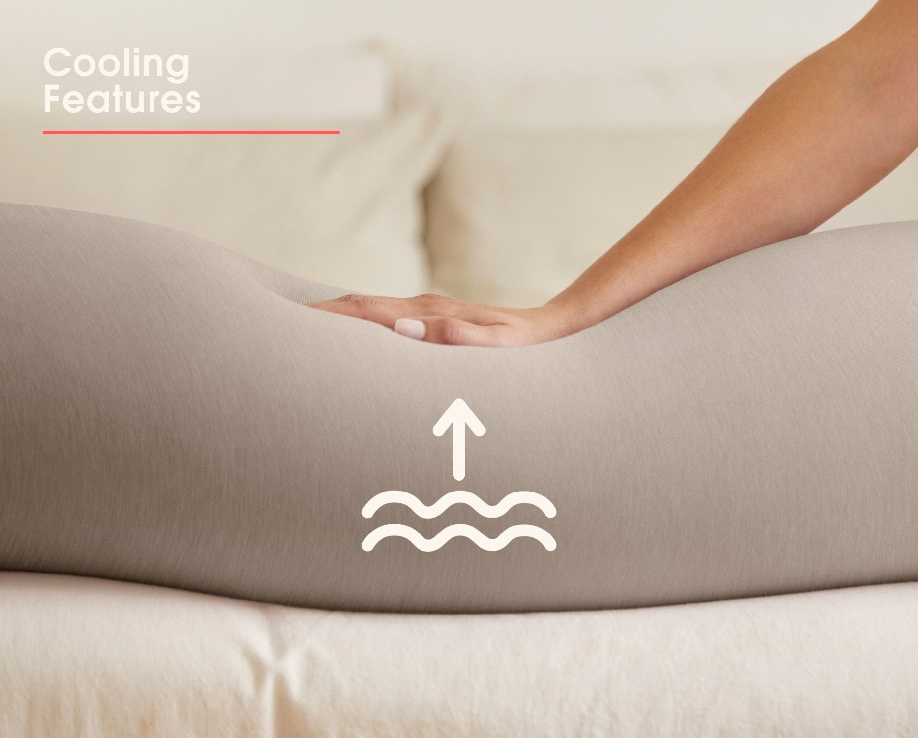 bbhugme Pregnancy Pillow